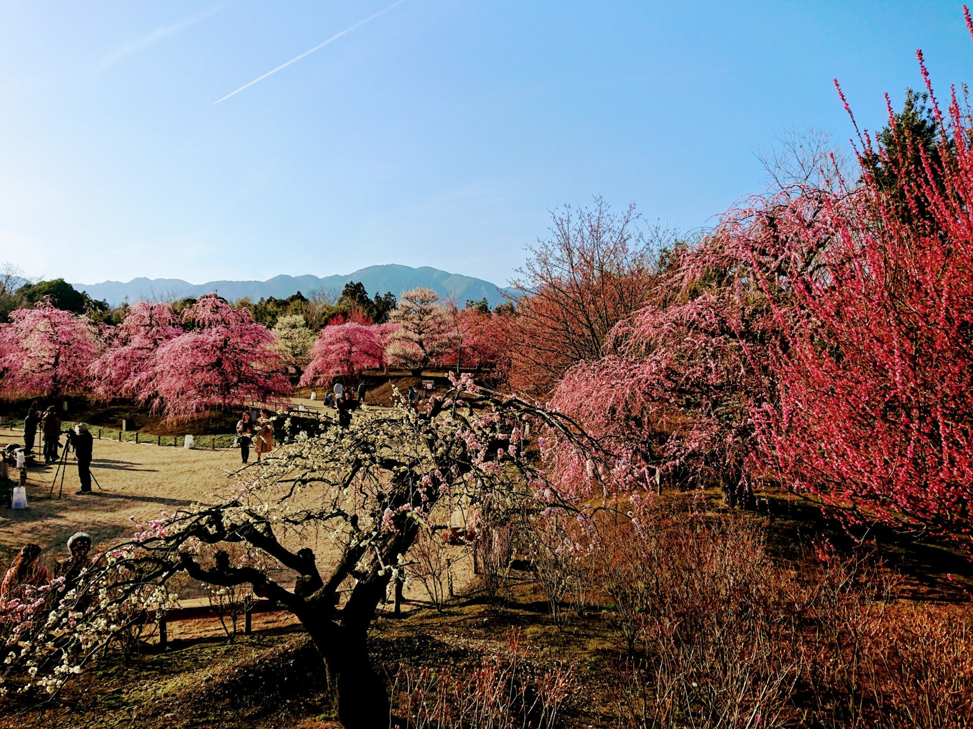 株式会社スモーニ
