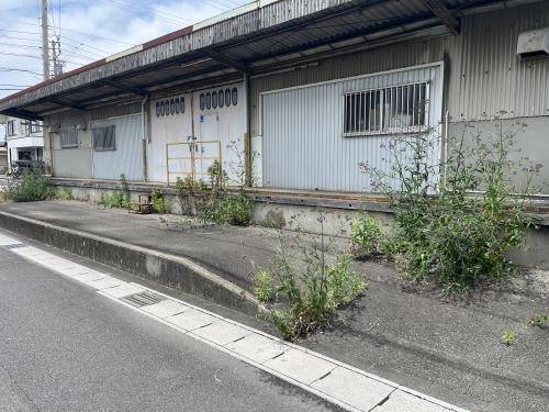 管理物件の草刈り依頼が急増